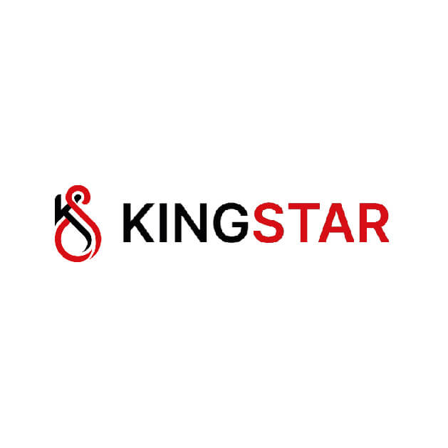 kingstarmx