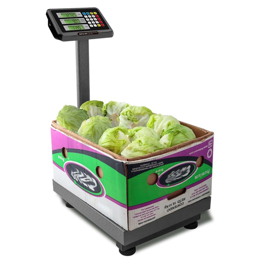 Rhino BAPCA-200 Bascula Plataforma 200 kg Básculas Restaurantes Pesar Tianguis Restaurante Verduras Carnes Plataforma Carniceria Cremeria Contadora Cargar Uso Industrial. Ideal para pesar, rudo, industrial, cajas, industria, bodegas, negocio, para montacargas, cargar, pesar, plataforma, etc. King Star. Envíos seguros a todo México. Cotiza hoy mismo.
