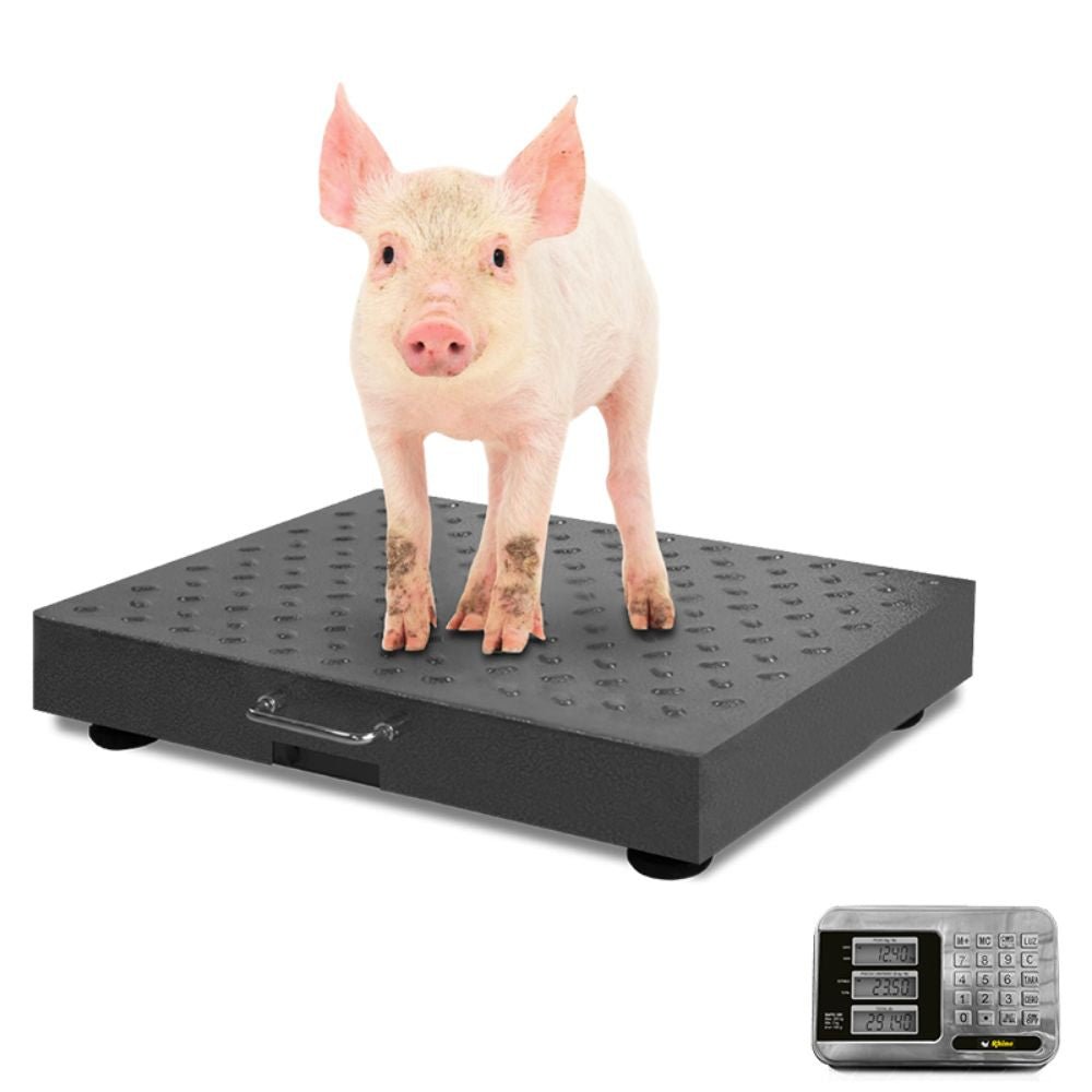 Rhino BAPIC-300 Plataforma Bascula 300 Kg -  - Rhino - King Star